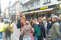 28e8f99d-bd8c-4fe8-a9cf-d75b181bfef7-scaled